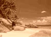 Palmenstrand