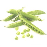 Pfirsich, nur eine Frucht aus natuerlichen Vitaminen...