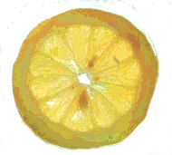 zitrusfrucht